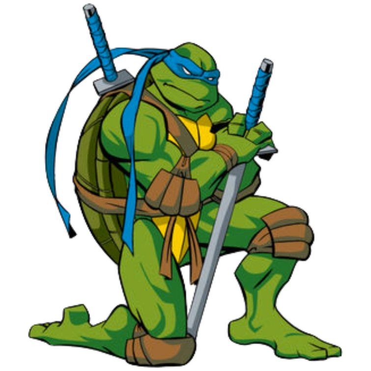 Npg Proposal Leonardo From Teenage Mutant Ninja Turtles 2003 Fandom 9404