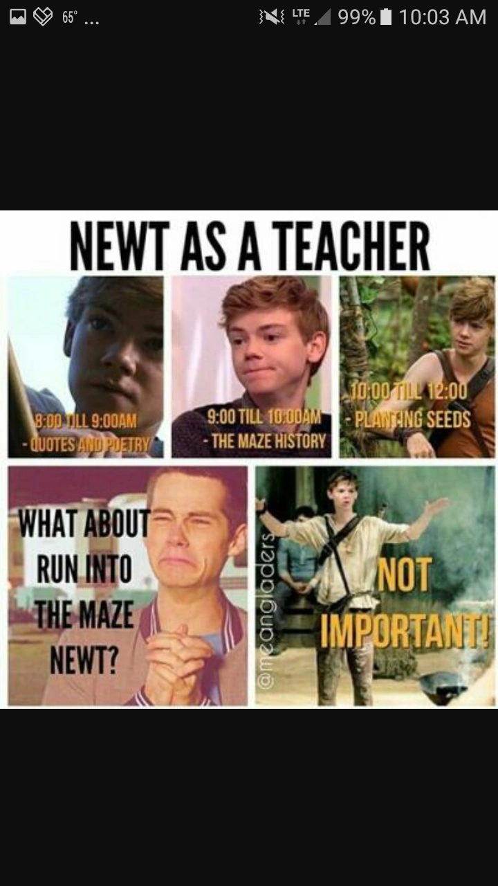 The Maze Runner Minho Quotes