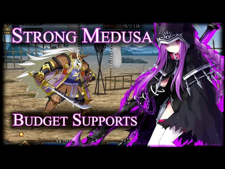 Medusa Lancer Setup Vs Final Oni Shibata Challenge Quest [FGO]