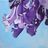 JacarandaTempest's avatar