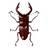Hedraun's avatar
