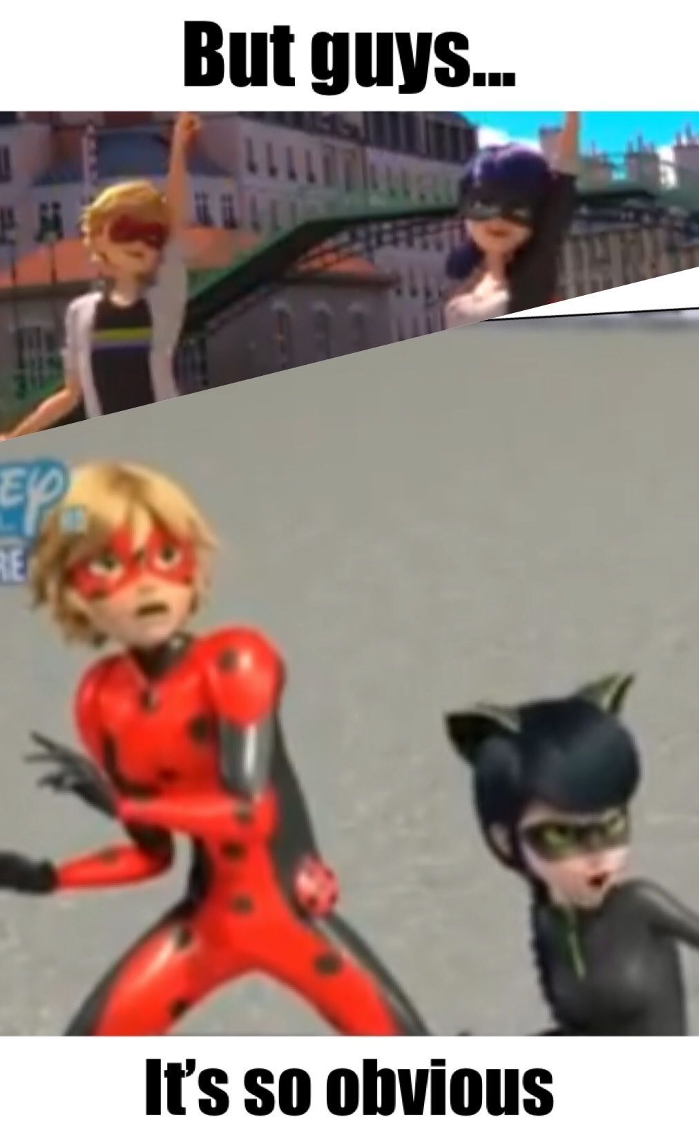 Miraculous Ladybug Fandom Memes