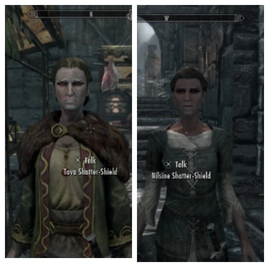 The General Atmosphere of Windhelm Fandom