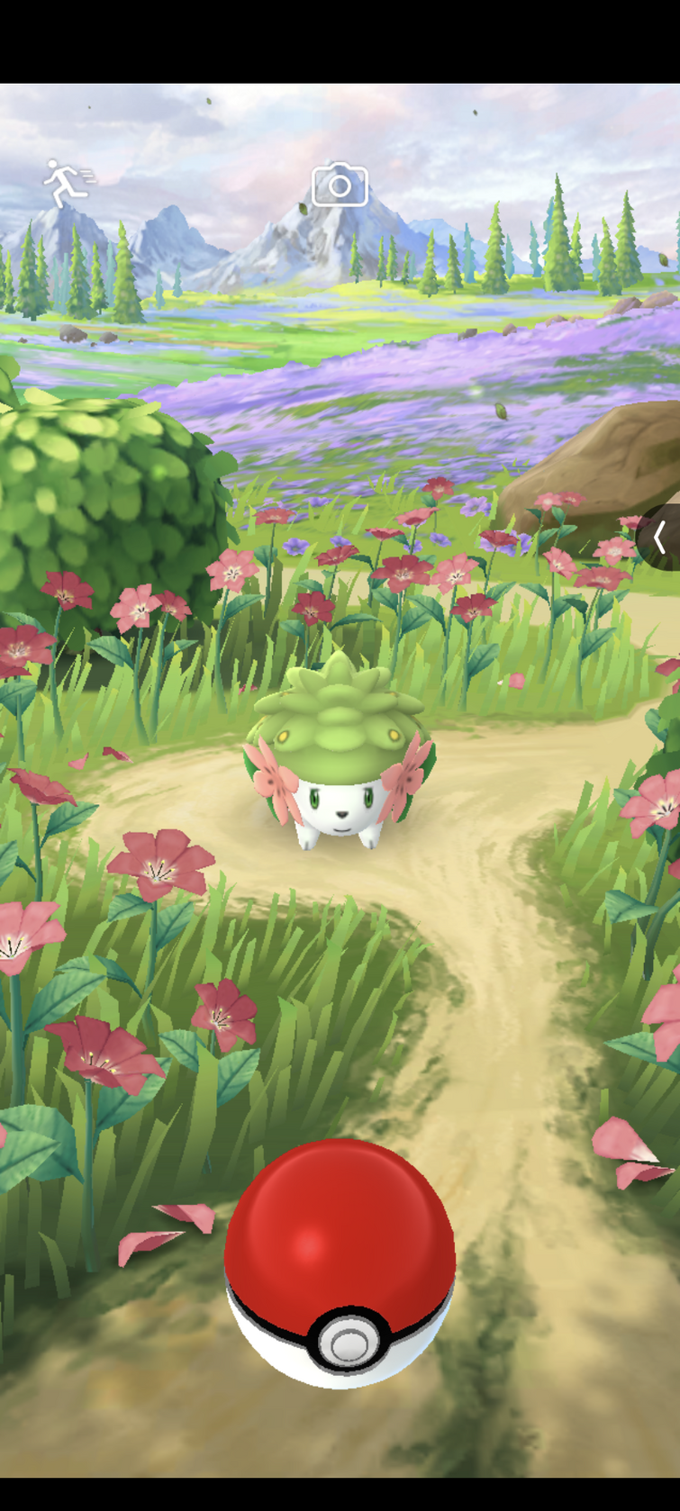Pokemon Shiny Eevee Cherry Blossom Trade Registered or Ultrafriends