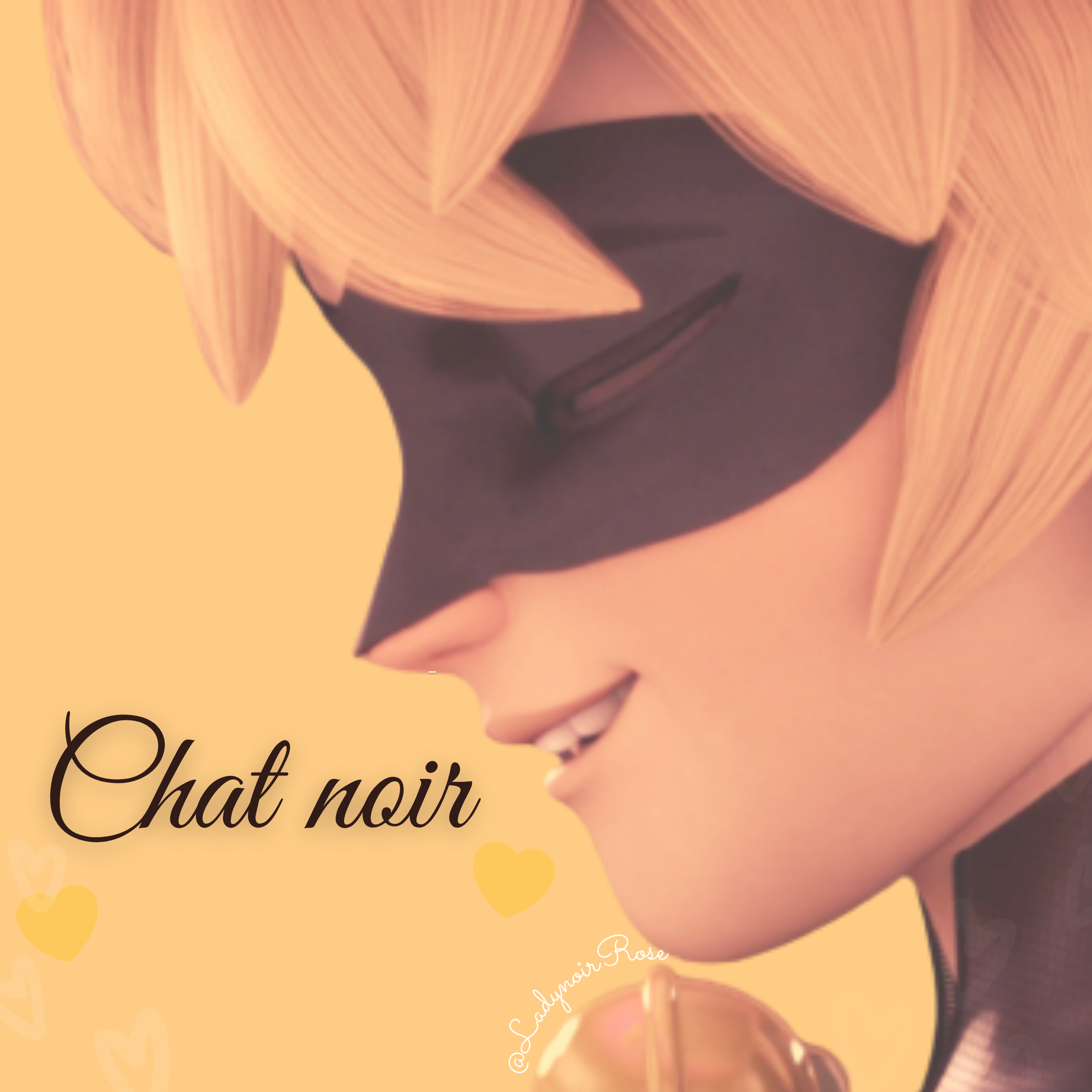 Featured image of post The Best 20 Adorable Aesthetic Cat Noir Icons