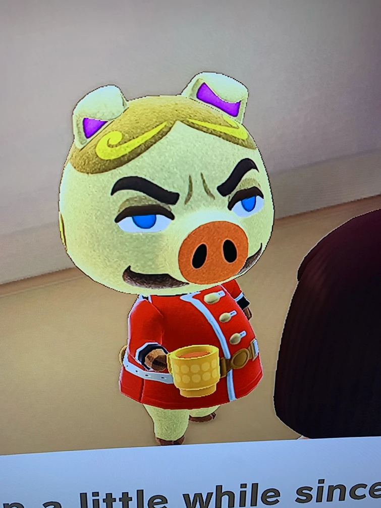 Chops is camping in my island ? Fandom