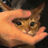 AriByte's avatar