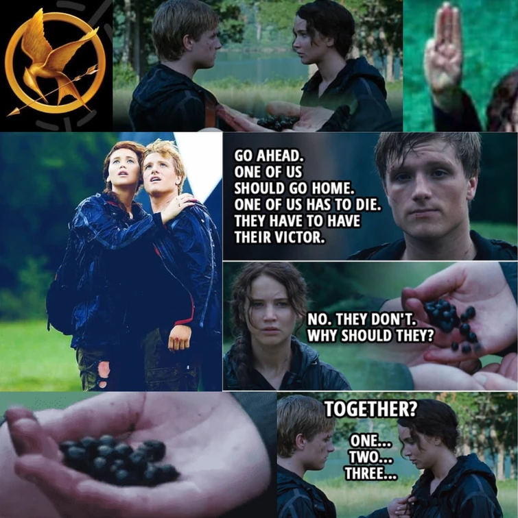 Defiance or Love? Fandom