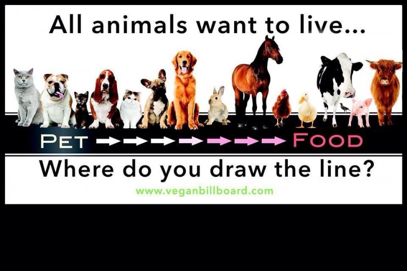 Where do you draw the line? Fandom