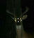 Thelymitra's avatar