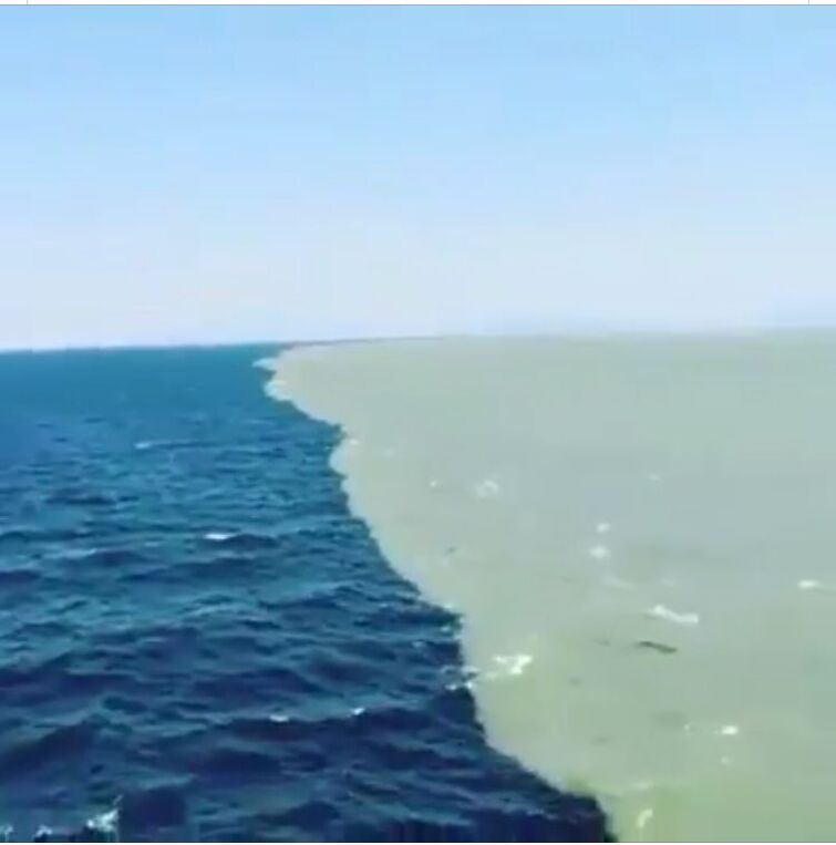 Where the Pacific and Atlantic Meet Fandom