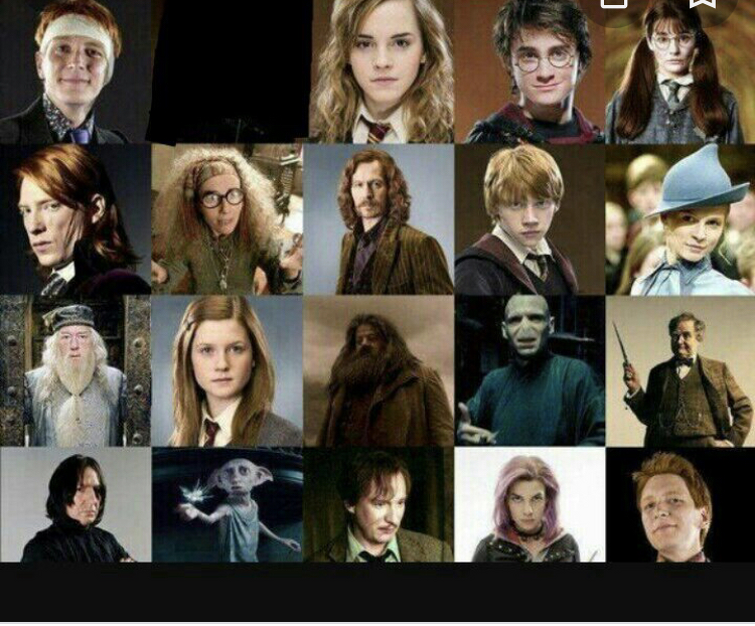 Fandom Image