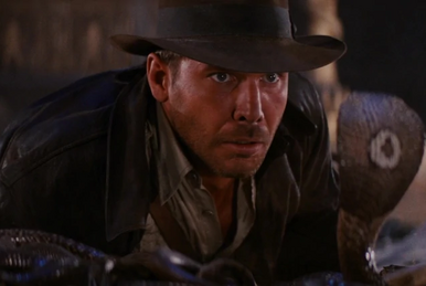 IMDb on X: Indiana Jones and the Raiders of the Lost Ark 🐍 Love it, or  hate it?   / X