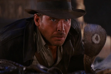 Indiana Jones s jacket Indiana Jones Wiki Fandom