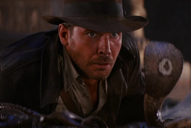 IMDb on X: Indiana Jones and the Raiders of the Lost Ark 🐍 Love it, or  hate it?   / X