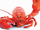 The Grand Lobster King