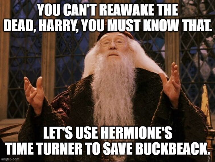 harry potter memes dumbledore