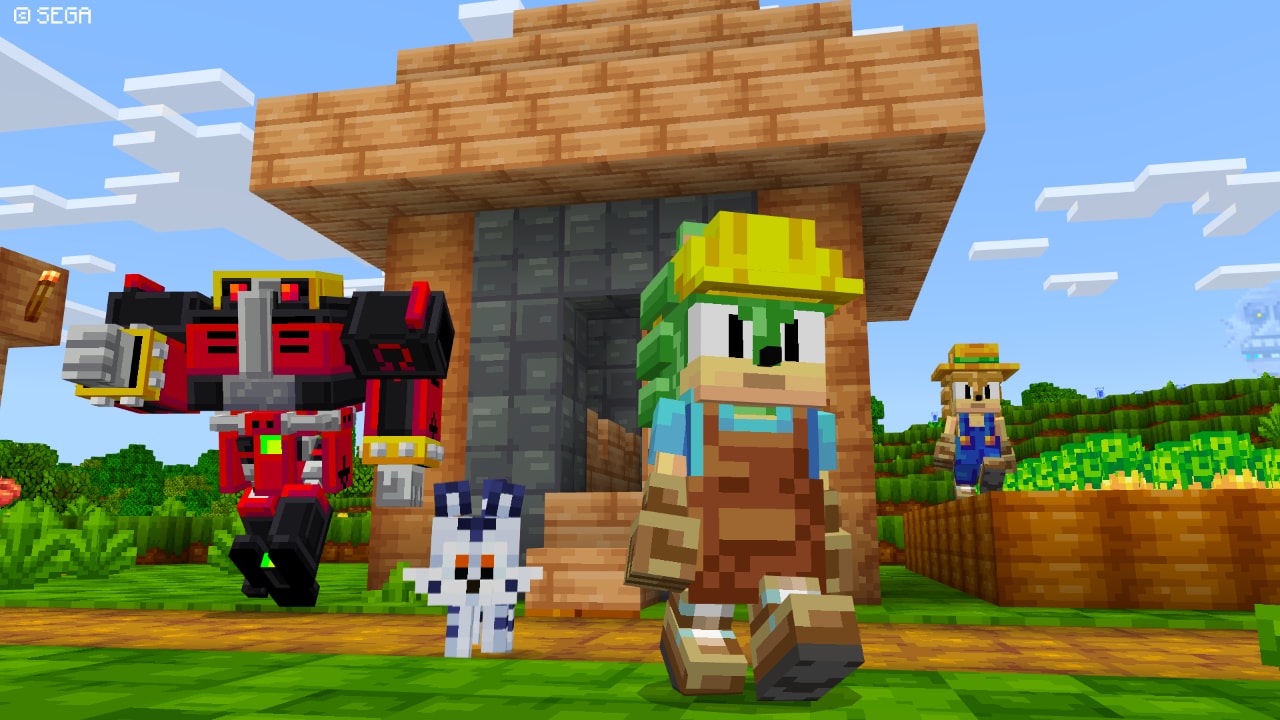 Sonic the Hedgehog (Minecraft), Sonic Wiki Zone