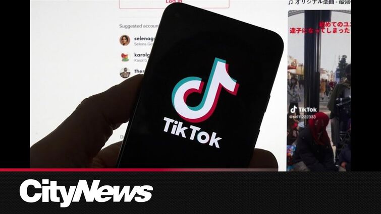Canadian businessman reportedly interested in buying TikTok