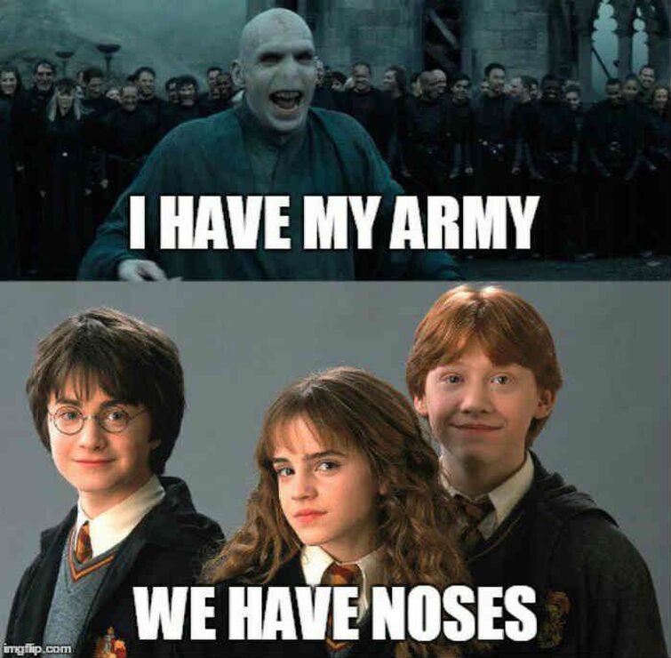 Harry Potter and the Fresh Hermione Meme : r/memes