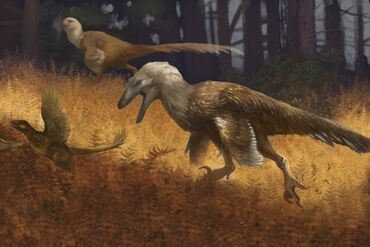 Deinonychus, Dinopedia