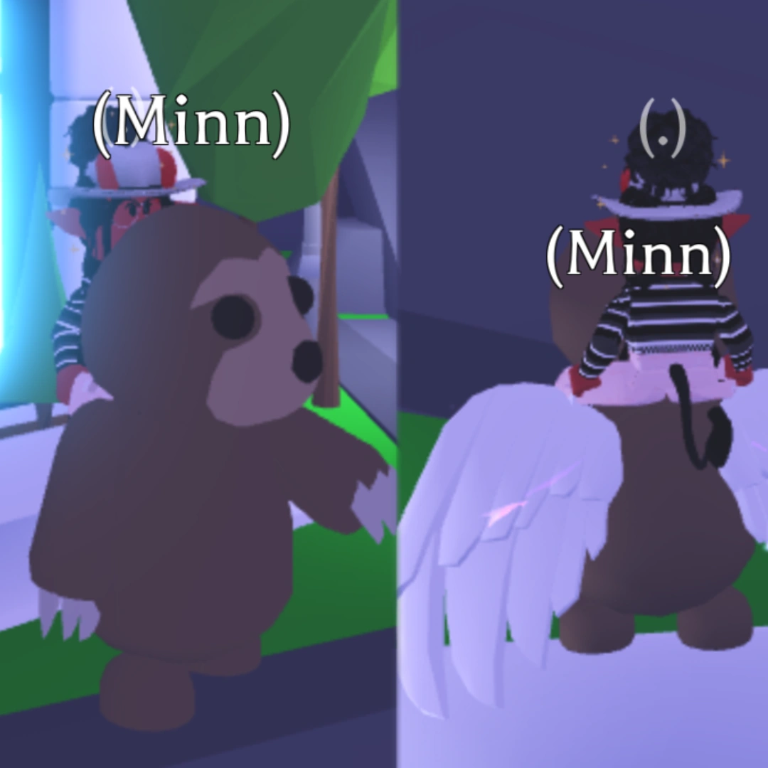 Discuss Everything About Adopt Me! Wiki | Fandom