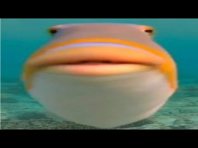 should i make fnf hypertone song Fandom