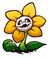 Flowey the folwer's avatar