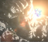 Stopped thinking farmer's avatar