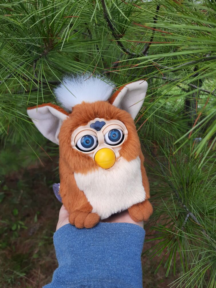 Fandom Image
