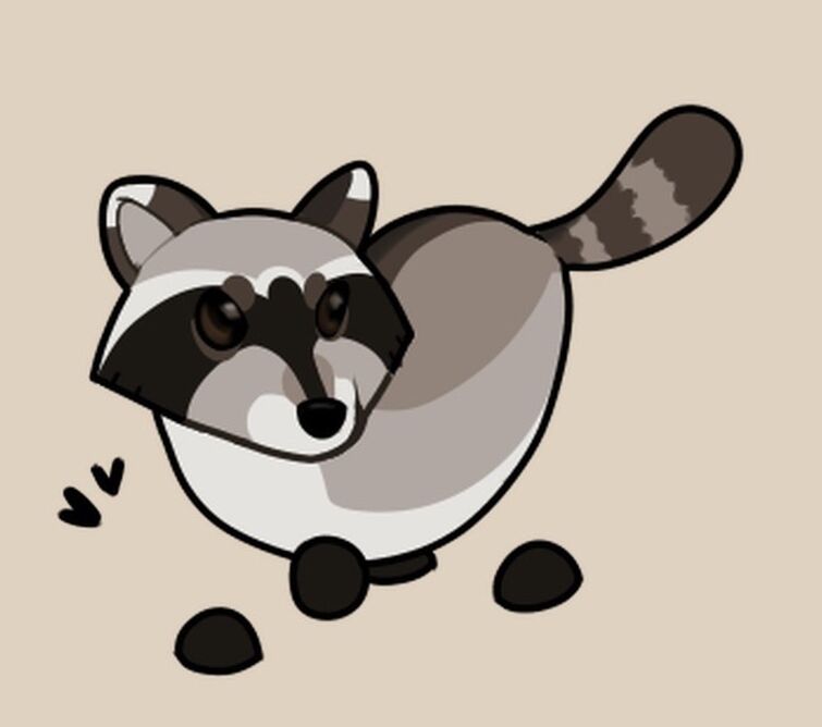 Raccoon, Adopt Me! Wiki