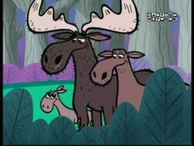 Discuss Everything About NatureRules1 Wiki | Fandom
