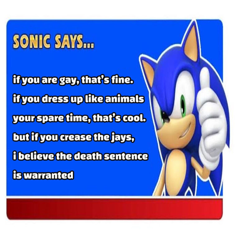 thread of my saved collection of bizarre Sonic Says memes (all clean) Fandom
