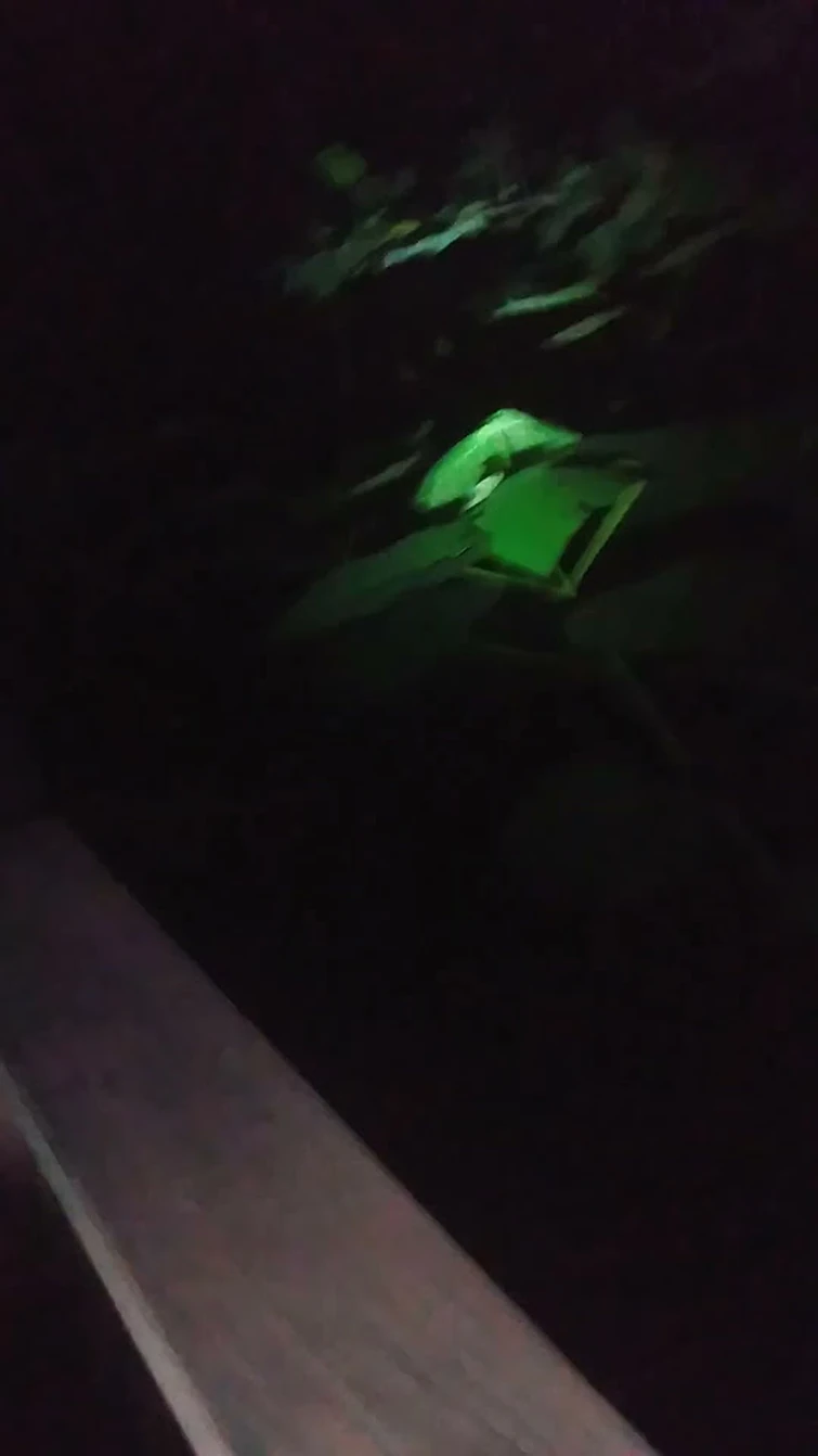 nothinghappeningyet_234813911.mp4