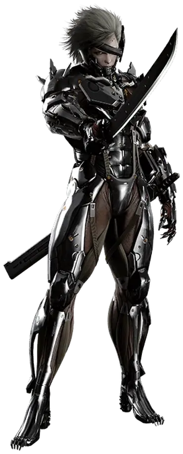 Which robotic Raiden will win | Fandom