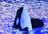 Cometspace's avatar