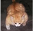 MrE06969's avatar