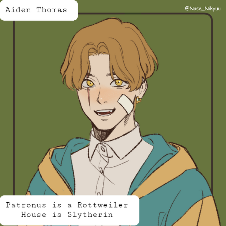 Fandom Image
