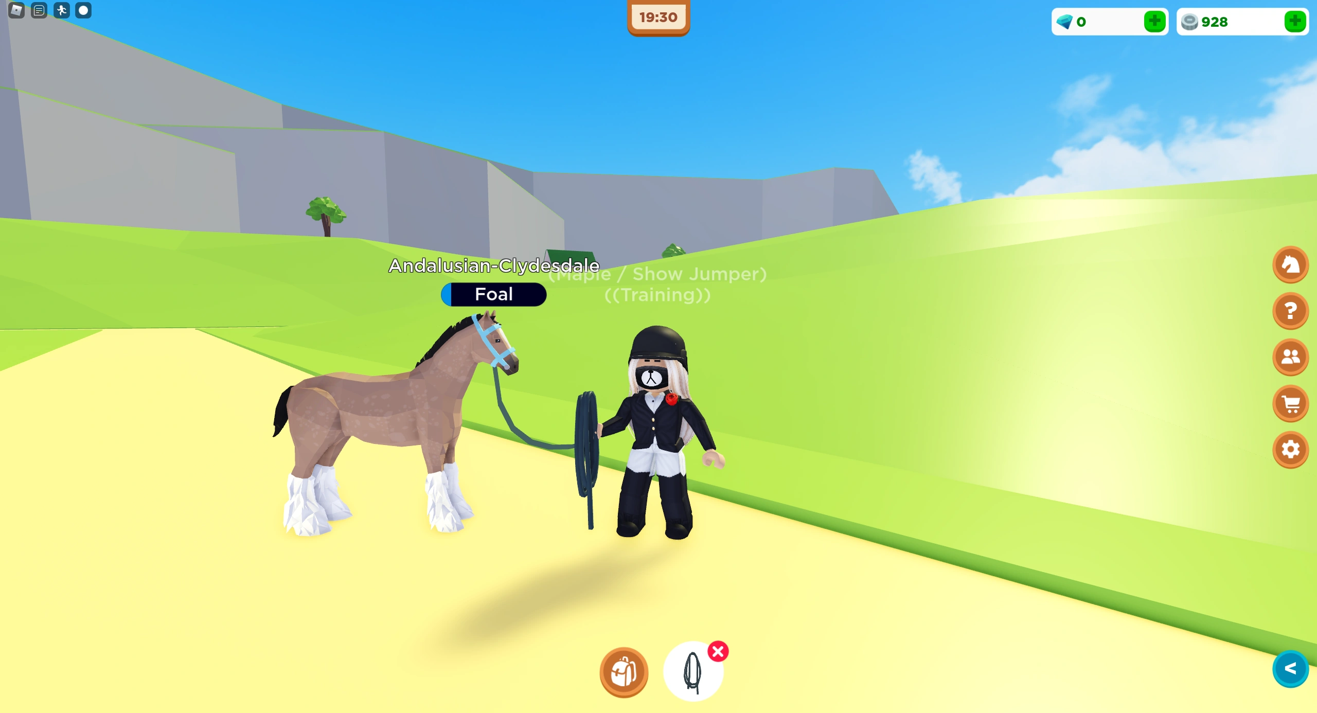 Andalusian x Clydesdale Cross Fandom