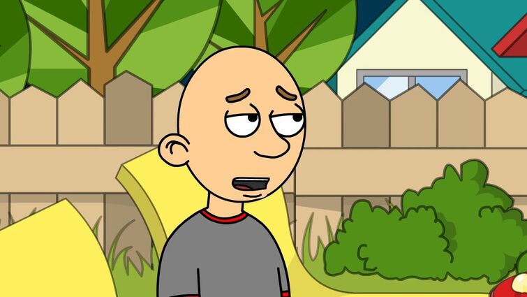 Classic Caillou Kills a Bird/Grounded