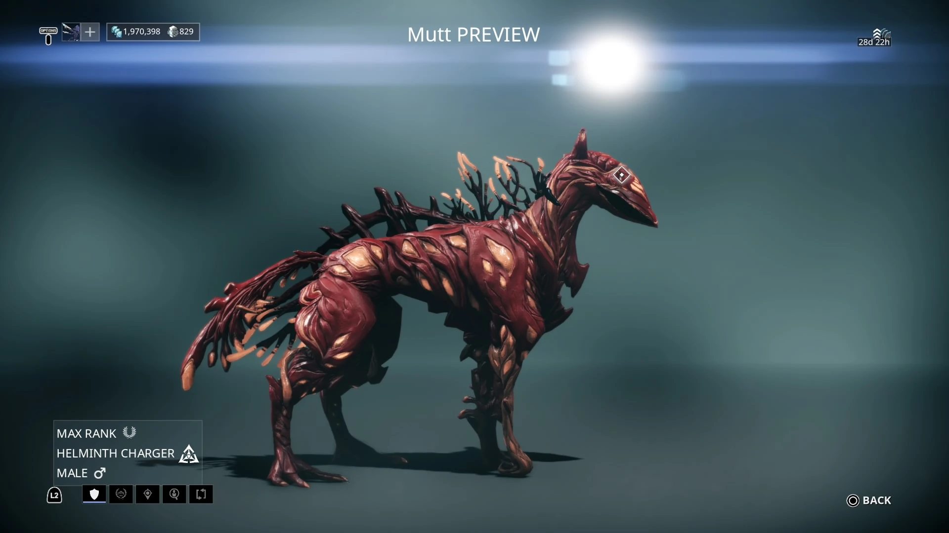 Warframe Helminth Charger