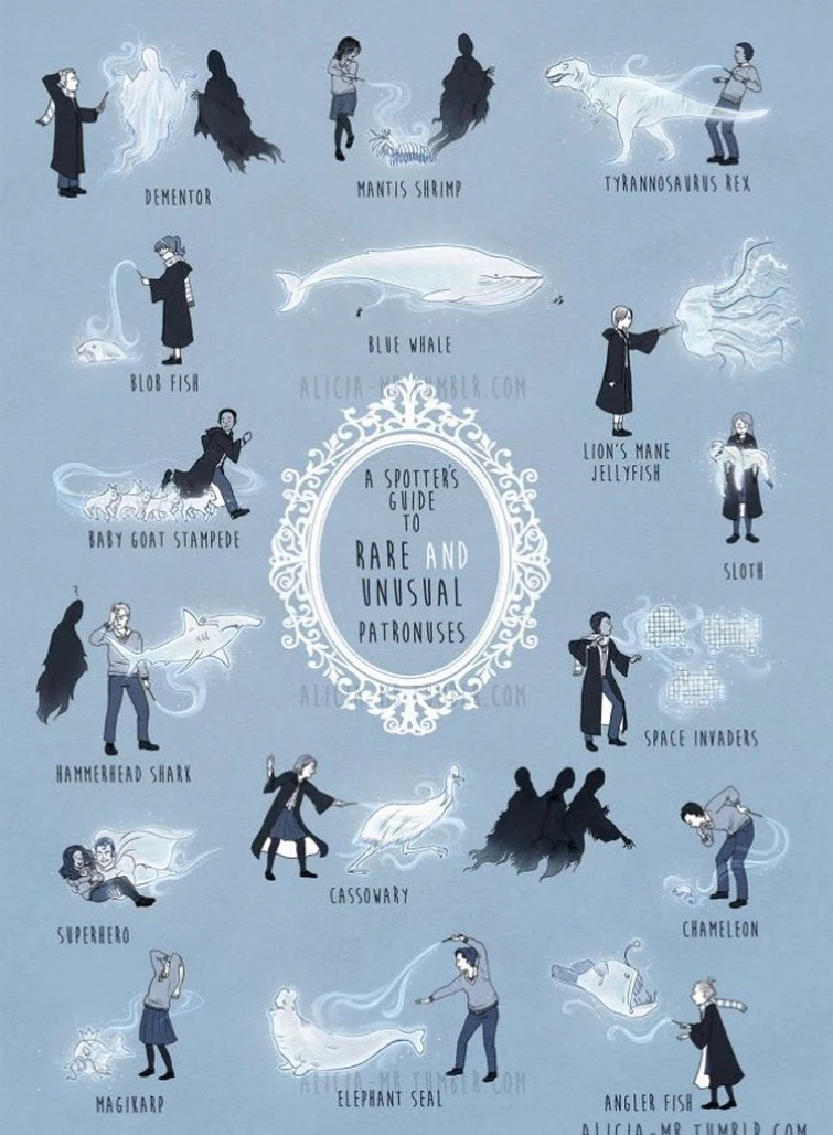 Anybody have  patronous like this