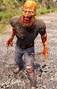 Зараженный выживший