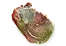 RottingFlesh