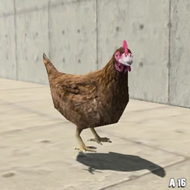 AnimalChicken