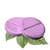 DrugHerbalAntibiotics