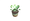 Plant02.png