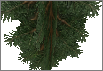PineBranch.png