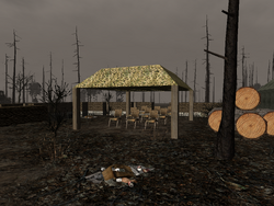 ArmyReconCamp6.png