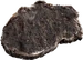 file=Charred Venison